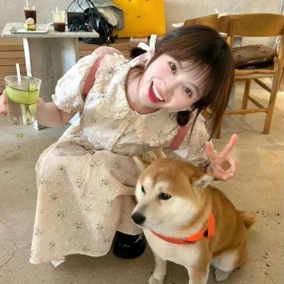 花之锁 封面