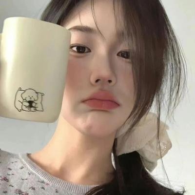 分手的决心 封面