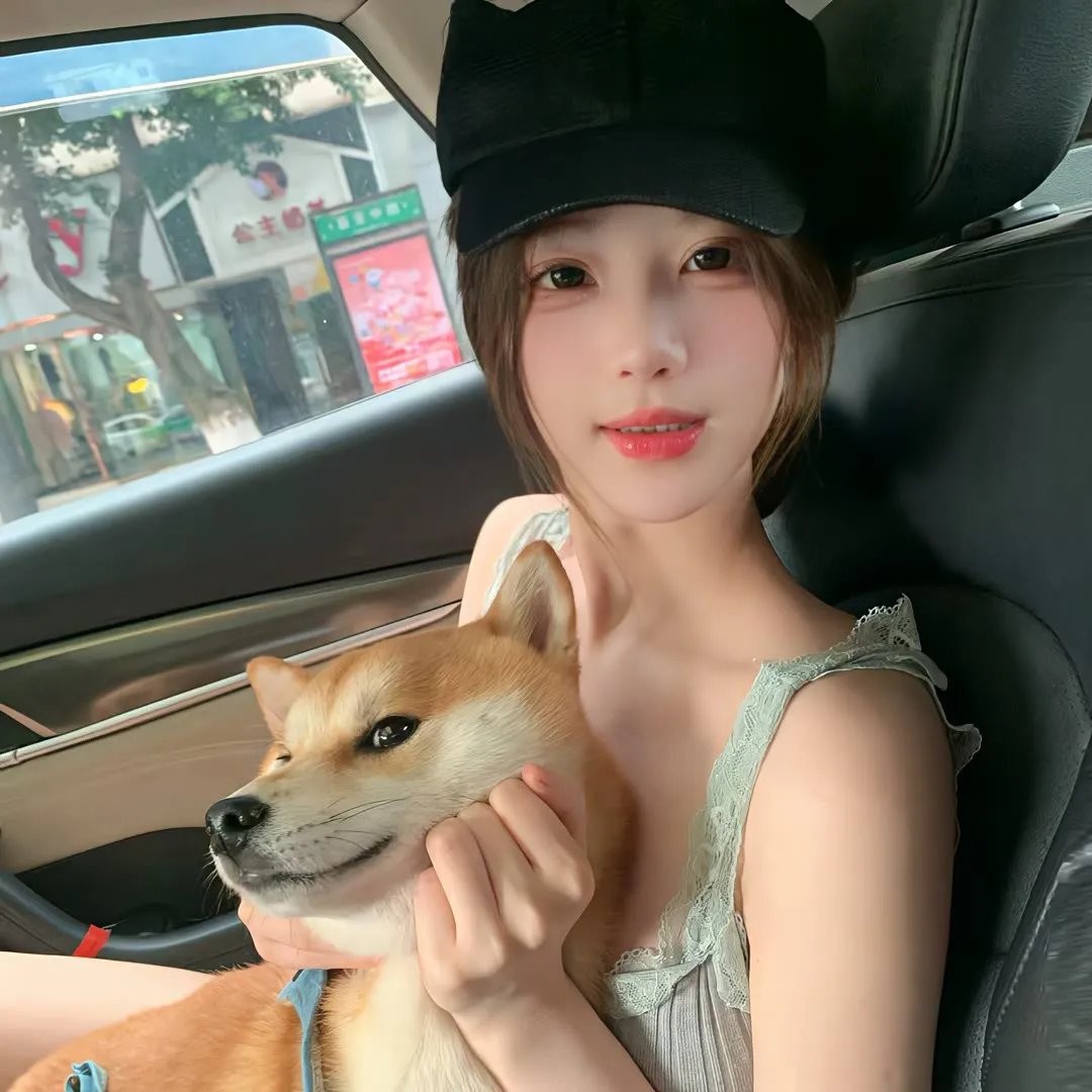 寻物少女 封面